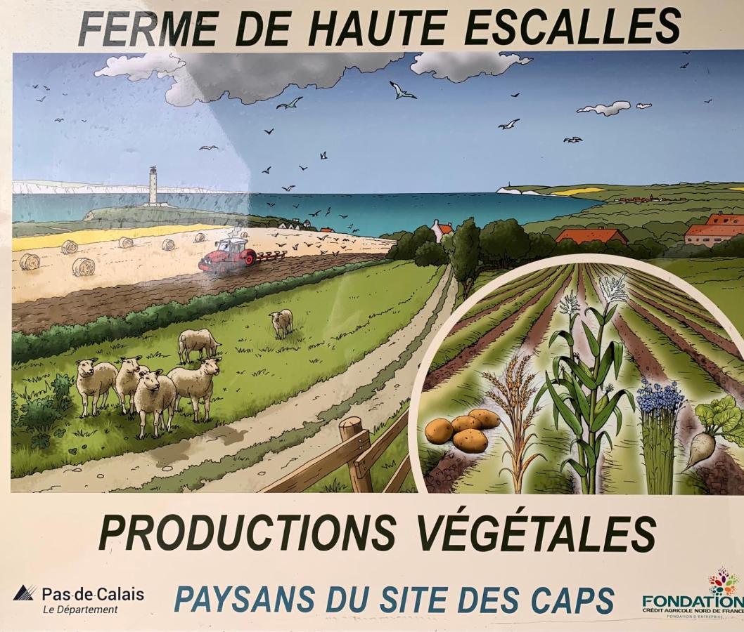 Ferme De La Haute-Escalles Exterior foto